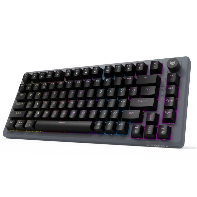 EvoFox Katana X2 TKL Gaming Mechanical Keyboards Wireless –Tri-Mode (BT/2.4G/Wired), Silent Red Switches, 1000Hz Polling Rate, Vivid and Dynamic Backlighting, 4000mAh Battery,Volume Knob (Black)