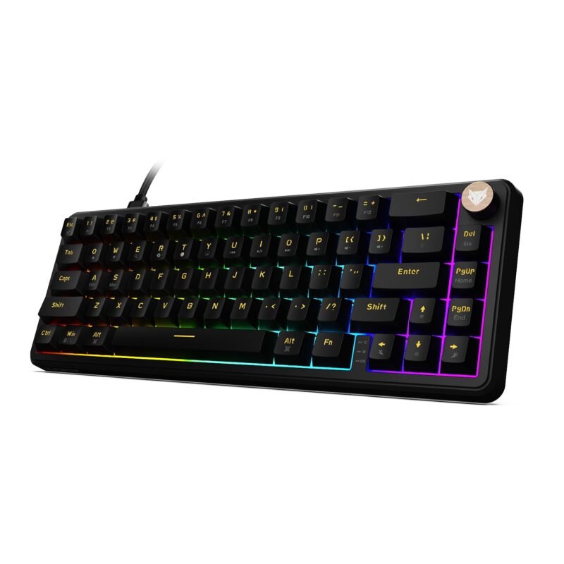 EvoFox Ronin HS65 Hall Effect Wired Mechanical Gaming Keyboard, 2 Layer Sound Dampening, 8000Hz Polling, Hall Effect Magnetic Switch, Actuation Point Adjustable, Web Software, Black