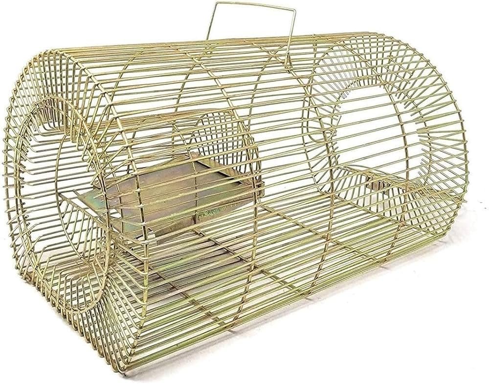 HiCare Rat Trap Cage for Home & Kitchen | Heavy Duty Mouse Trap Cage | Reusable Rodent Catcher | Chooha Dani | Chuha Pinjra | Humane No Kill Rat Catcher Box | Metal Mouse Trap for Indoor & Outdoor Use