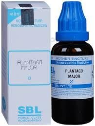 Plantago Major Q (SBL) | 30ml X 2 | NRHP