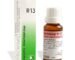 UVUBXT Dr. Reckeweg Dr Reckeweg R 13 Hemorrhoidal 22 Ml
