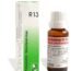 UVUBXT Dr. Reckeweg Dr Reckeweg R 13 Hemorrhoidal 22 Ml