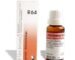 DR RECKEWEG R 64 ALBUMINURIA 22 ML RECKEWEG