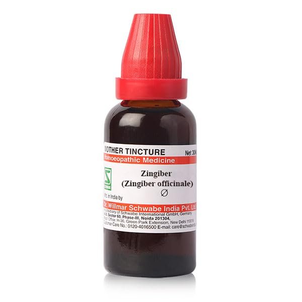 Dr.Willmar Schwabe Zingiber (Zingiber Officinale) Mt 30Ml