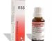 DR RECKEWEG R 55 ALL KIND OF INJURIES 22 ML RECKEWEG