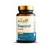 Sugarol Capsules | Herbal Blood Sugar Support Supplement | Ayurvedic Formula with Gymnema, Fenugreek, Karela & Shilajit | 60 Capsules