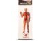 Alakananda Herbals Ayurvedic Cardorium Plus Syrup (300 ml)