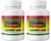 Vidyapith Ayurved Sugar Churna Helpful in Diabetes, Ayurvedic Powder, 100g each pack of 2
