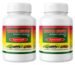 Vidyapith Ayurved Sugar Churna Helpful in Diabetes, Ayurvedic Powder, 100g each pack of 2
