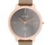 Titan Edge Quartz Analog Grey Dial Brown Leather Strap Watch for Women - NT2654WL01
