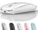 Wireless Bluetooth Mouse for Mac MacBook Pro MacBook Air Laptop iMac iPad/Pro/Air Chromebook PC Win8/10 HP DELL (White 2)