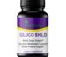 Gluco Shild Ayurvedic Blood Sugar Control Formula | Herbal Supplement for Glucose Regulation, Insulin Sensitivity & Heart Health | 60 Natural Capsules | gluco shield herb biotic