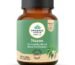 A TATA Product - Organic India Neem Blood Purifier - 60 Veg Capsules, Natural Blood Purifier, Plant-Based Anti-Bacterial, Anti-Viral, With Immunity Boosting Properties, GMP & NPOP Certified Organic