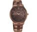 Titan Classique Slimline Brown Dial Analog with Day and Date Stainless Steel Strap Watch for Men-NS90142QM05