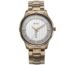 Titan Regalia Opulent Quartz Analog with Day & Date Two Toned Silver & White Dial Metallic Taupe Metal Strap Watch for Men - NT1875QM01