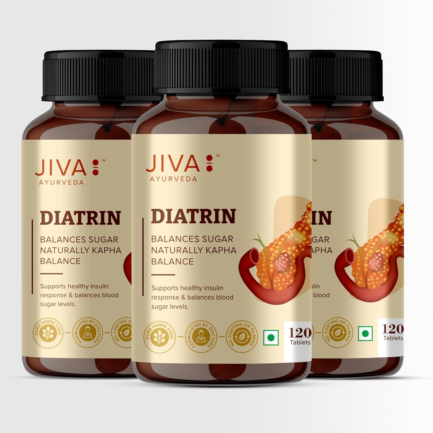 Jiva Diatrin Tablets 500mg | 100% Ayurvedic Formulation | Manages Blood Sugar Levels, Improves Metabolism & Strengthens the Pancreas | Balances Tri-Dosha- 120 Tablets (Pack of 3)