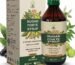 Sugar Forte Syrup, 200ml, Ayurvedic Formula with Karela, Jamun, Neem & 12 Herbs, for Healthy Blood Sugar Levels
