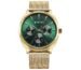 Titan Classique Suave Quartz Green Dial Golden Stainless Steel Mesh Strap Analog Watch for Men-90189YM01/NT90189YM01