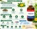 Dr. Majumder Homoeo World DAMIANA Q | Mother Tincture | 100 ml.