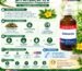 Dr. Majumder Homoeo World DAMIANA Q | Mother Tincture | 100 ml.